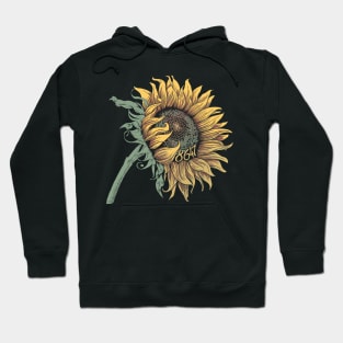 anti-trump Hoodie